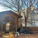 꽃피는산골 이미지