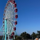 바다마루 | 사천 가볼만한 곳 사천바다케이블카 아라마루 아쿠아리움 내돈내산 추천 후기