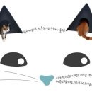 고양이집:고집 이미지
