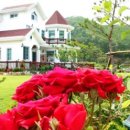 추암일출펜션 이미지