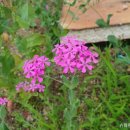 오성경로당 이미지