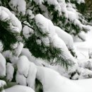 와뜨래요 이미지