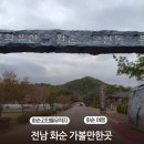 화순고인돌유적지(선사체험장밖) | 전남 화순 가볼만한곳 고인돌 유적지 여행지 추천