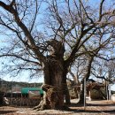 정해 마을회관 이미지