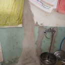 # 금포국민학교졸업.장세영이용소 금빛대학졸업.&amp; 이미지