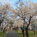 침산공원(C) 이미지