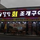달빛조개