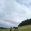 표선면-2 이미지