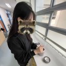 성윤농원 이미지