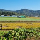 사문진교 이미지