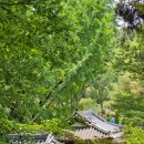 광주 여행 (창평 슬로시티, 전통창평국밥, 한국가사문학관, 식영정, 환벽당, 광주호 호수생태원) 후기
