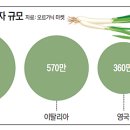 비건판다