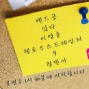프리마켓 공연 11.10 (토) 밴드공, 있다, 이영훈, 헬로우스트레인저, 9, 정민아 이미지