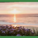 재활나라 이미지