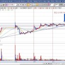 네오캣스튜디오 이미지