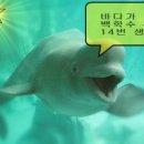 세번째. 가장 큰 흰색고래는 샛별과 함께 집으로 돌아가는구나.14 이미지