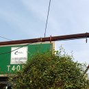 가나화원 이미지