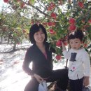 신개울농장 이미지