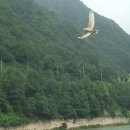 녹송공원 이미지