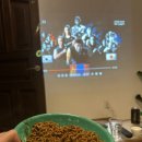 일구팔팔(1988) 이미지