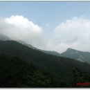 청수장 Daum카페