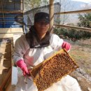 싸리골농장 이미지