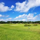 팀파이브스포츠클럽 | 바람소리여행사 훈주의 파크골프 배우기, 첫 수업 이야기