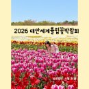 여기꽃이다 | 2026태안세계튤립꽃박람회 방문 후기 여기서 사진 꼭 찍으세요