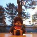 별나무 | 인제 추천 숙소 / 산속에 조용히 자리 잡은 펜션 '별들의 기침' 다녀온 후기 +인제 자작나무 숲 펜션