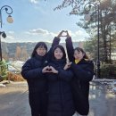 단국대 라이온태권도장 이미지