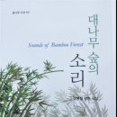 숲의 소리 네이버블로그