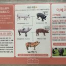 탑골목장 이미지