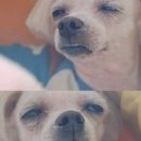 바다는안보여요