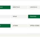 퀴즈노스하남 이미지
