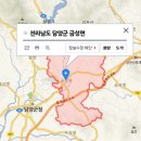 금성에서 온 언니