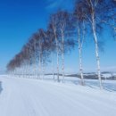 홋카이도 이미지