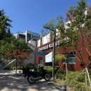 역삼-1304 | [강남 사주카페] 사주카페 이안애 솔직 후기(feat. 2025년 무료타로)