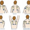 헬스로운짐 이미지