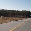 양지-2792 이미지