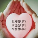 동네꽃집 - 부천시 원미구 원미로 91 | 동네꽃집