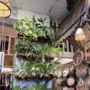 Bill Cafe | 호이안 카페 추천) 에어컨 나오는 Bill cafe 빌카페 내돈내산후기:)