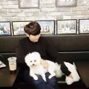 B&B(바비브라운 비숑프리제) 이미지