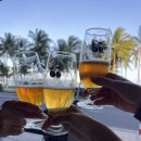 OK-호텔 | 나트랑 쉐라톤호텔 맛집｜포피스피자 후기 (베트남 향 싫어도 OK)