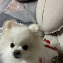 워니덴탈 이미지