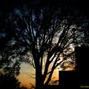 골롬반의원 이미지