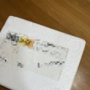 네츄럴디오스 | 생유산균 네츄럴디오스 락토디오스G17 후기!