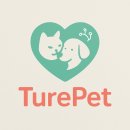 (생애단계과정) 너를 위해 준비하개냥 : 반려동물 간식 만들기 | TurePet 사업계획서