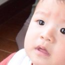 쵸우 이미지