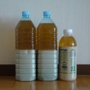 대일관광고등학교 이미지