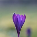 청암순대 이미지